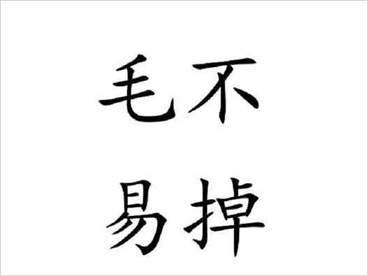 毛不易“毛不易掉”牙刷商標(biāo)注冊被搶注