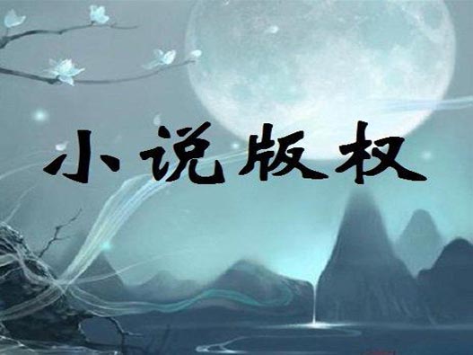 登記小說版權(quán)的費用是多少？